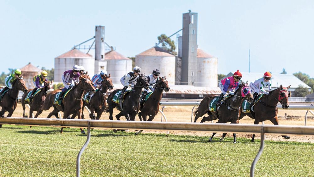 Dreams come true at cluBarham Kerang Cup post image