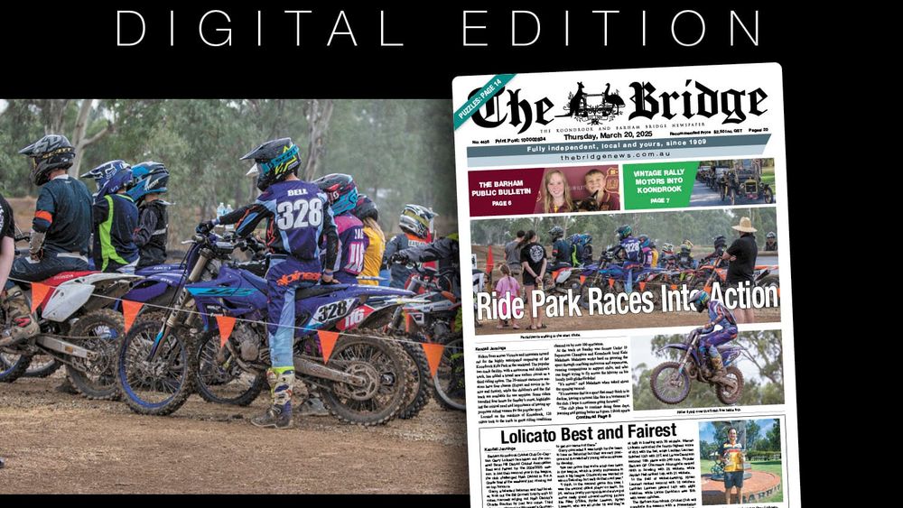 Thursday, March 20, 2025 post image