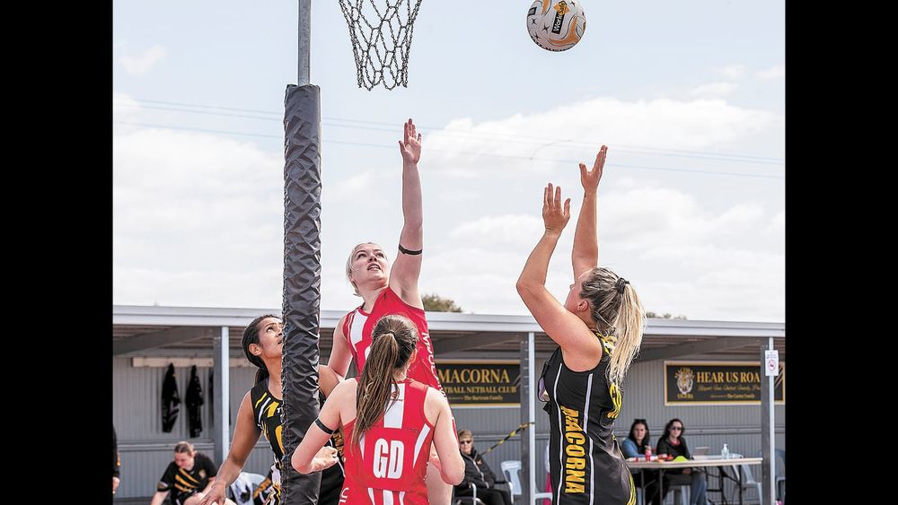 Tigers down Swans post image