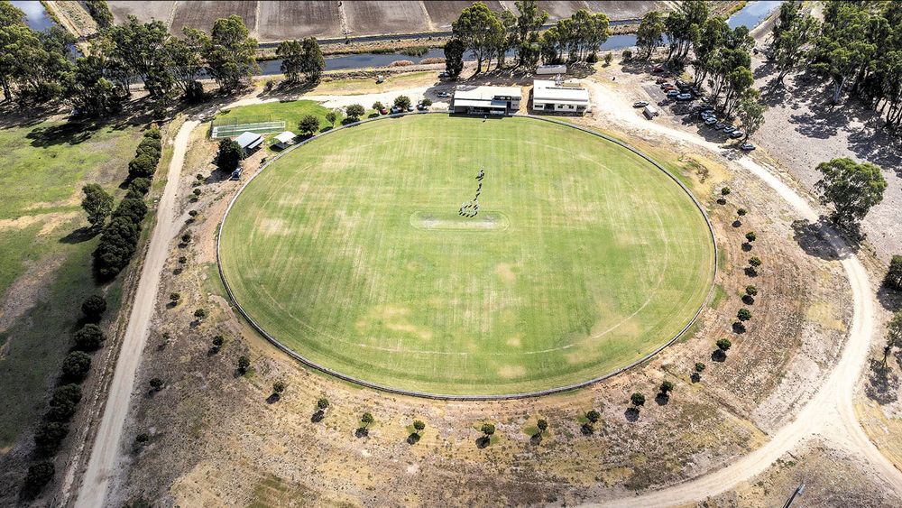 Over 60s Cricket post image