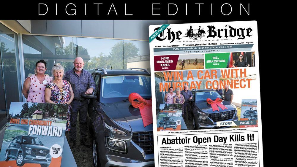 Thursday, December 12, 2024 post image