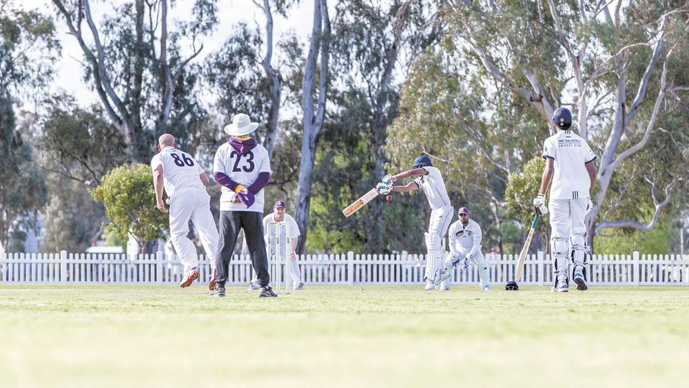 Cricket fires up post image