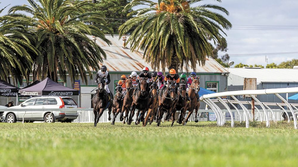 Same Race, New Date post image