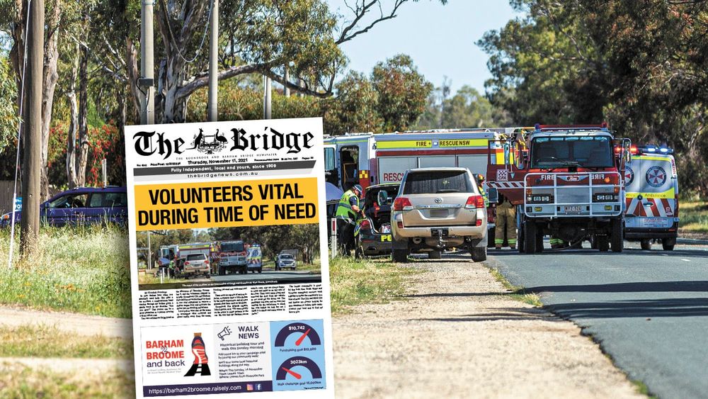 Thursday, November 11, 2021 post image