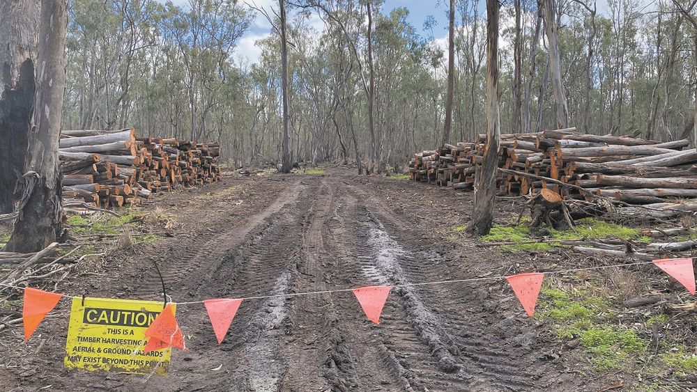 Logging and Watering in Guttrum post image