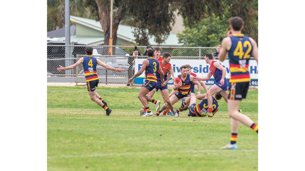 CMFL Weekly Wrap - 4 September, 2025 post image