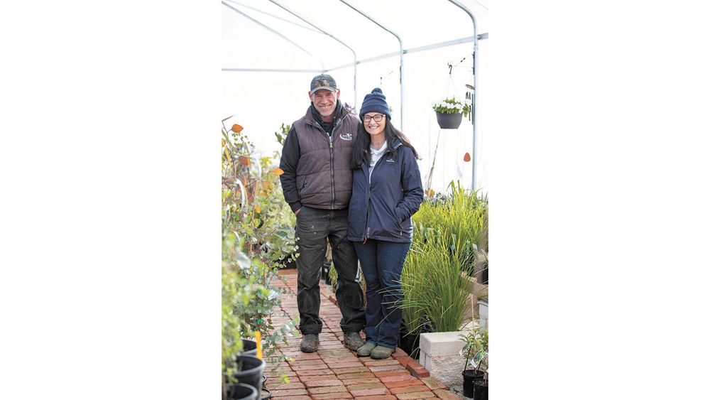 Sowing the Seeds of Diversity on the Dairy post image