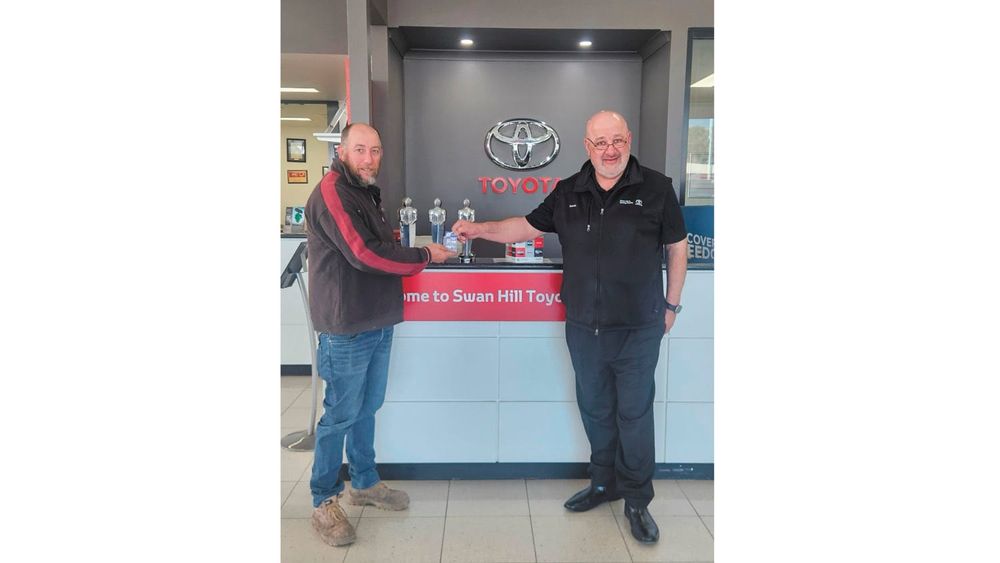 Balls, Fours and Paws post image