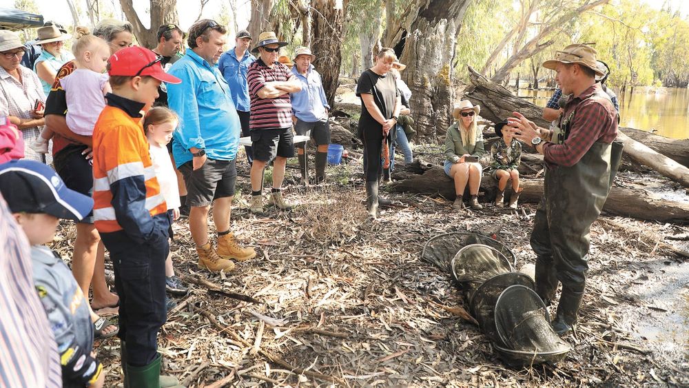 Yabby Festival post image