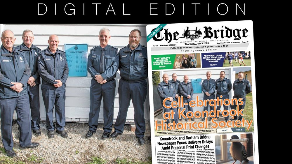 Thursday, July 3, 2025 post image