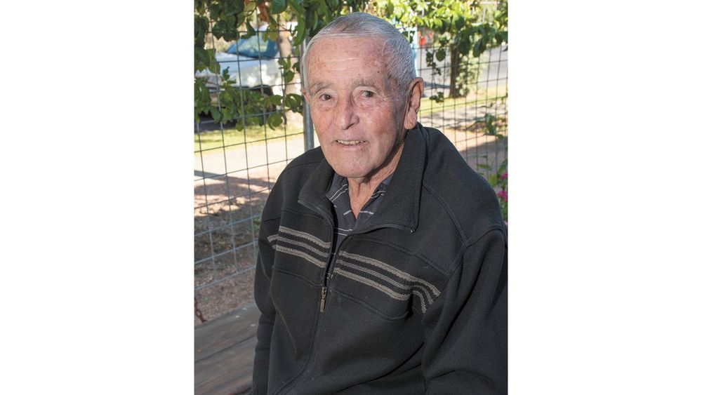 Hayden Bird 10 years volunteering post image