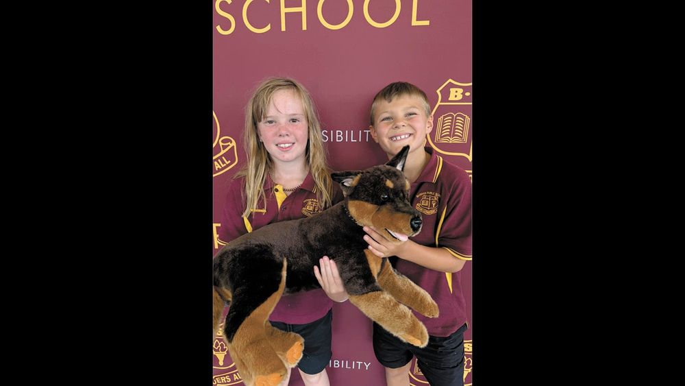 The Barham Public Bulletin post image