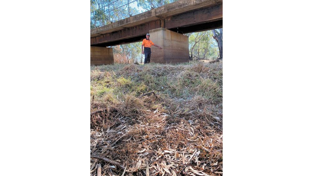 Managing Levees for Flood Protection post image