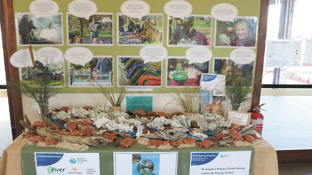 Fish and Turtles Galore post image