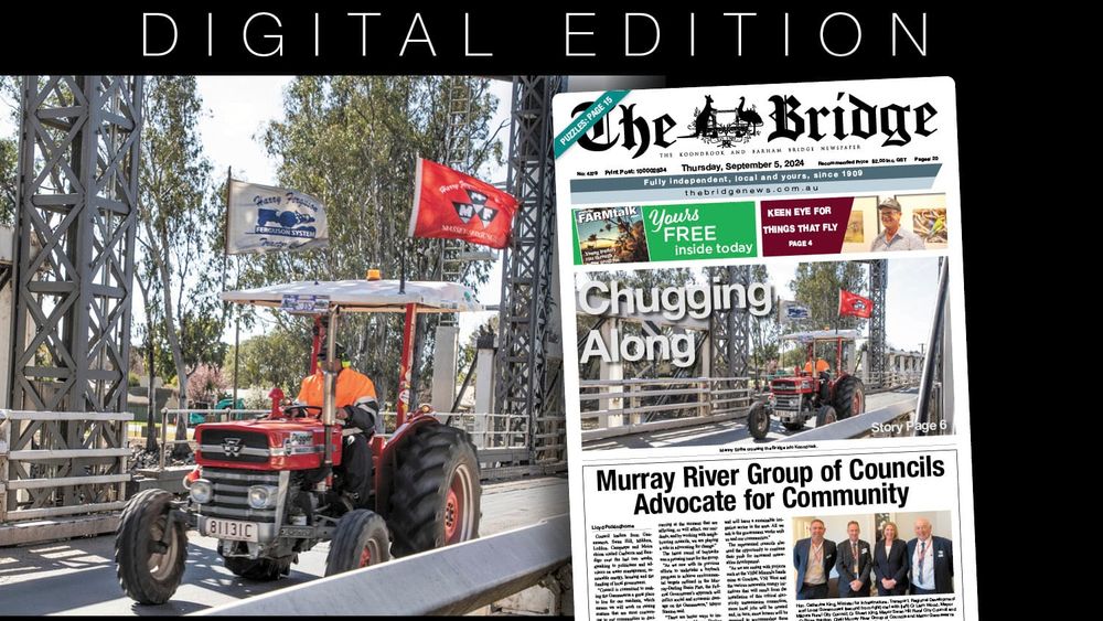 Thursday, September 5, 2024 post image