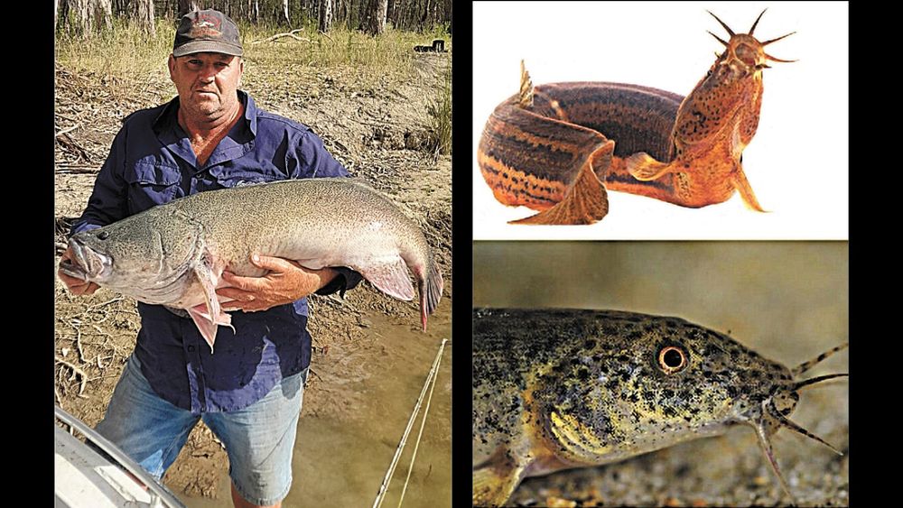 Fishing Report - January 18, 2024 post image