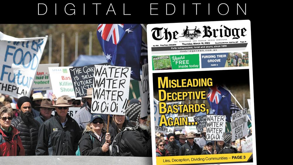 Thursday, March 16, 2023 post image