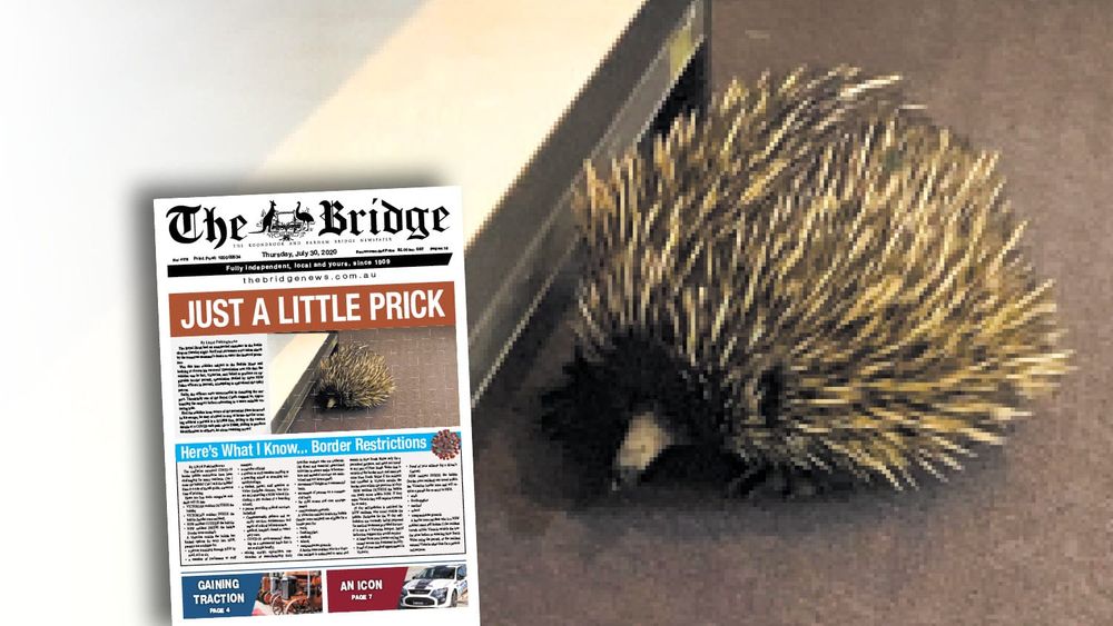 Thursday, July 30, 2020 post image