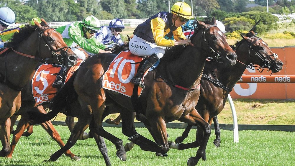 New Year, New Logan post image