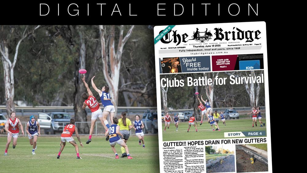 Thursday, June 19, 2025 post image