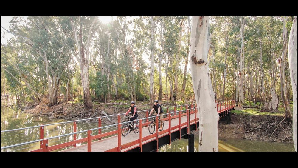 Have Your Say as Red Gum Goes Away post image