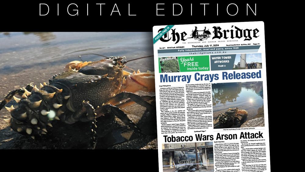 Thursday, July 11, 2024 post image