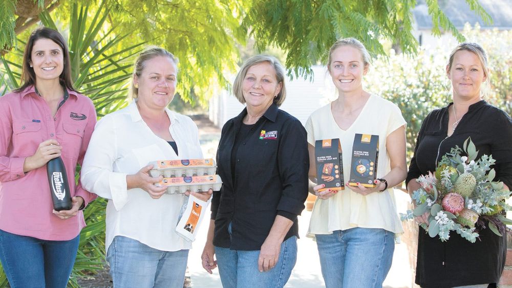 Taking Small Business, Farm and Community Groups to the Next Level post image