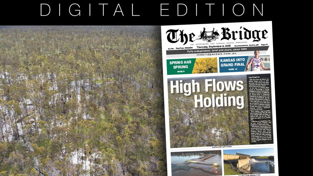 Thursday, September 8, 2022 post image