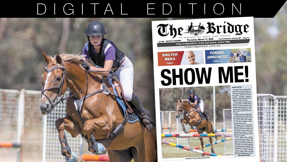 Thursday, March 17, 2022 post image