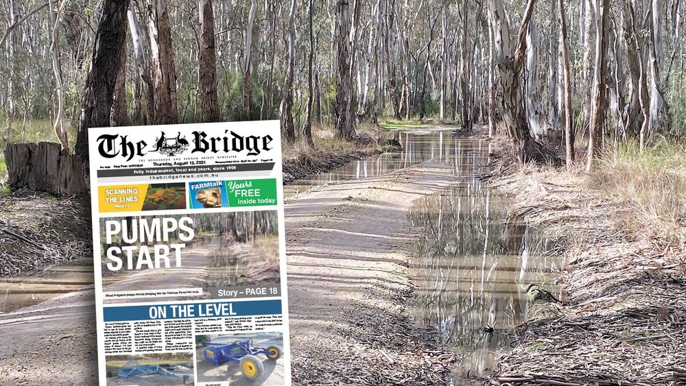 Thursday, August 12, 2021 post image