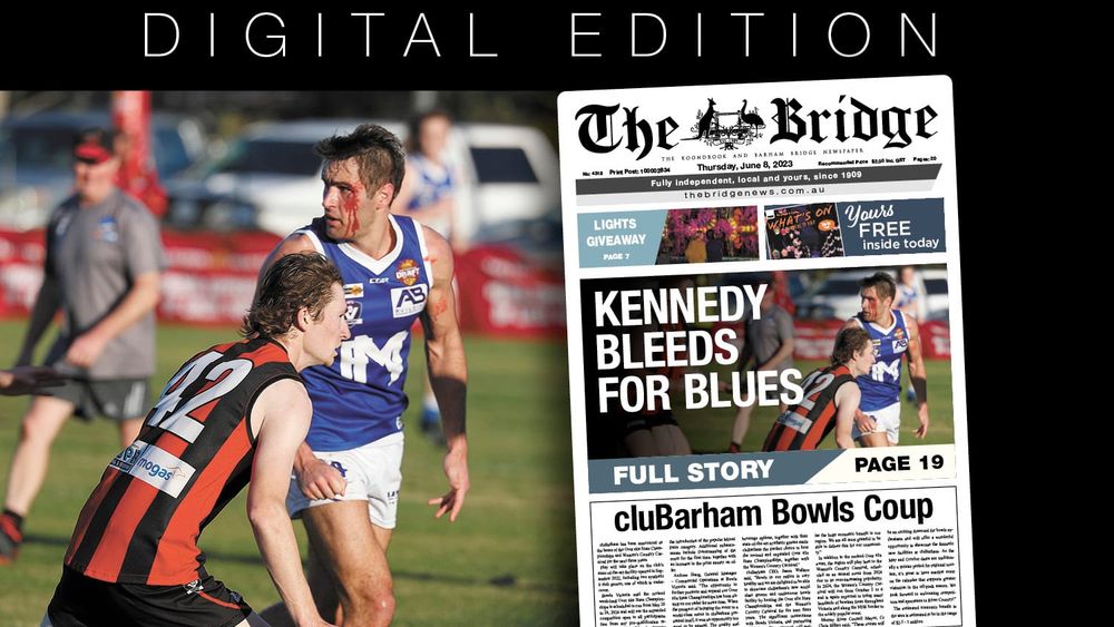 Thursday, June 8, 2023 post image