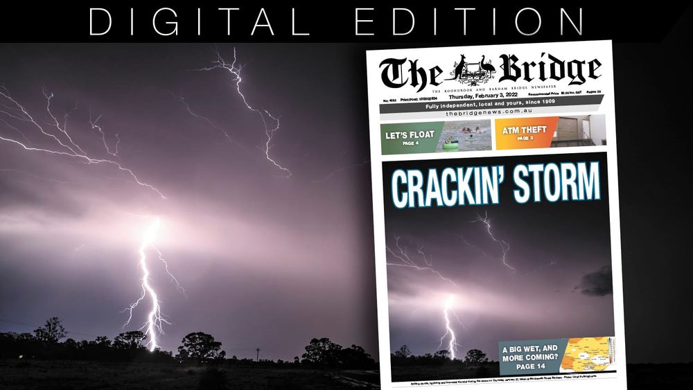 Thursday, February 3, 2022 post image