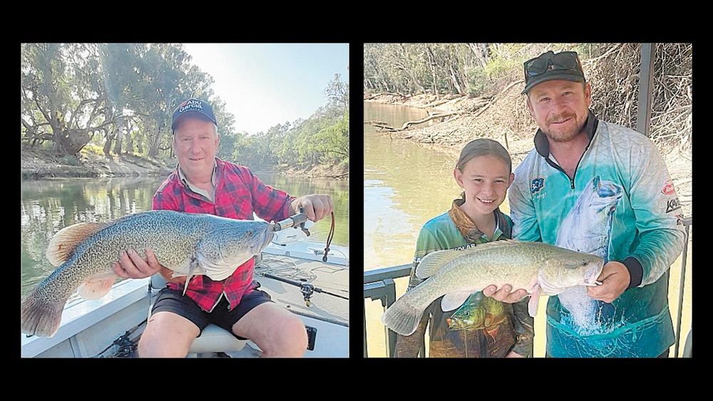 Fishing Report - March 14, 2024 post image
