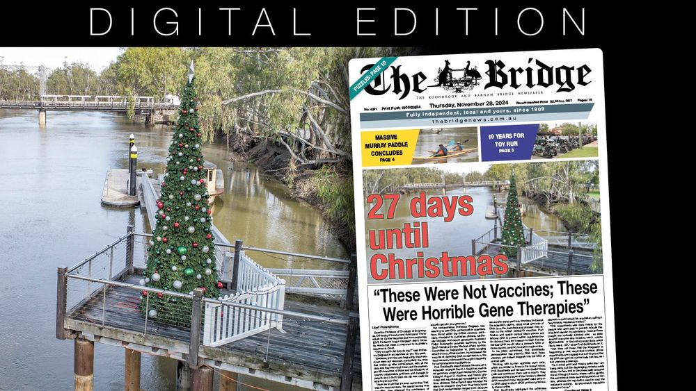 Thursday, November 28, 2024 post image