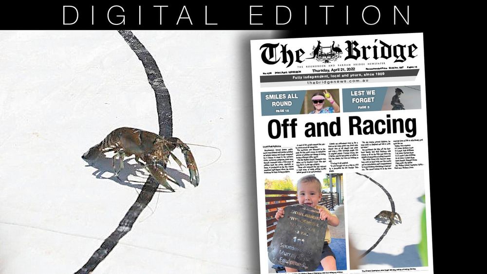 Thursday, April 21, 2022 post image