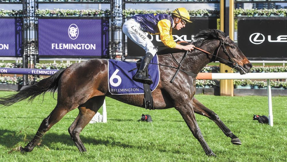 Logan’s 100th post image