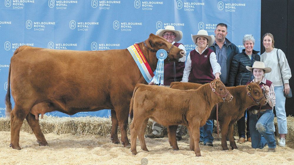 Melbourne Royal Show Victory post image
