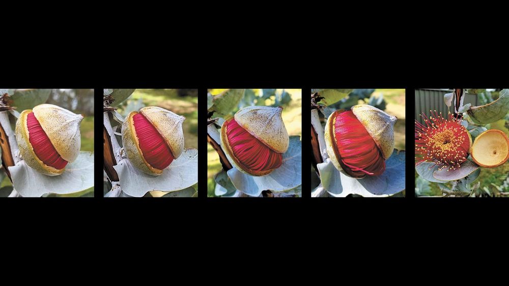 :-) Smilezone - September 9, 2021 post image