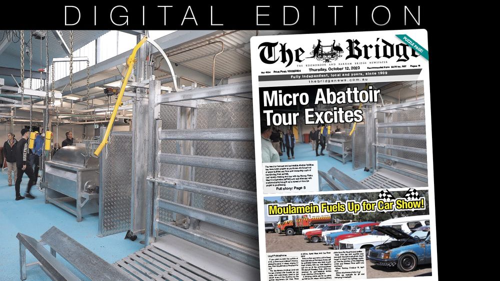 Thursday, October 12, 2023 post image