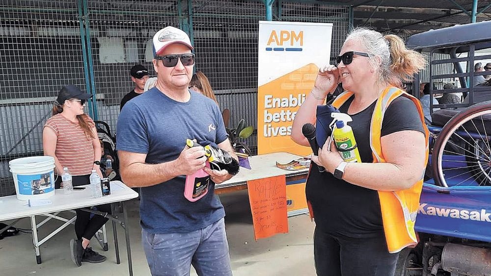 Shine and Shine for Langy post image