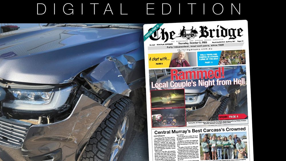 Thursday, October 2, 2025 post image