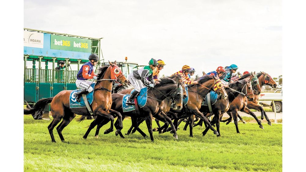 Gunbower Cup post image