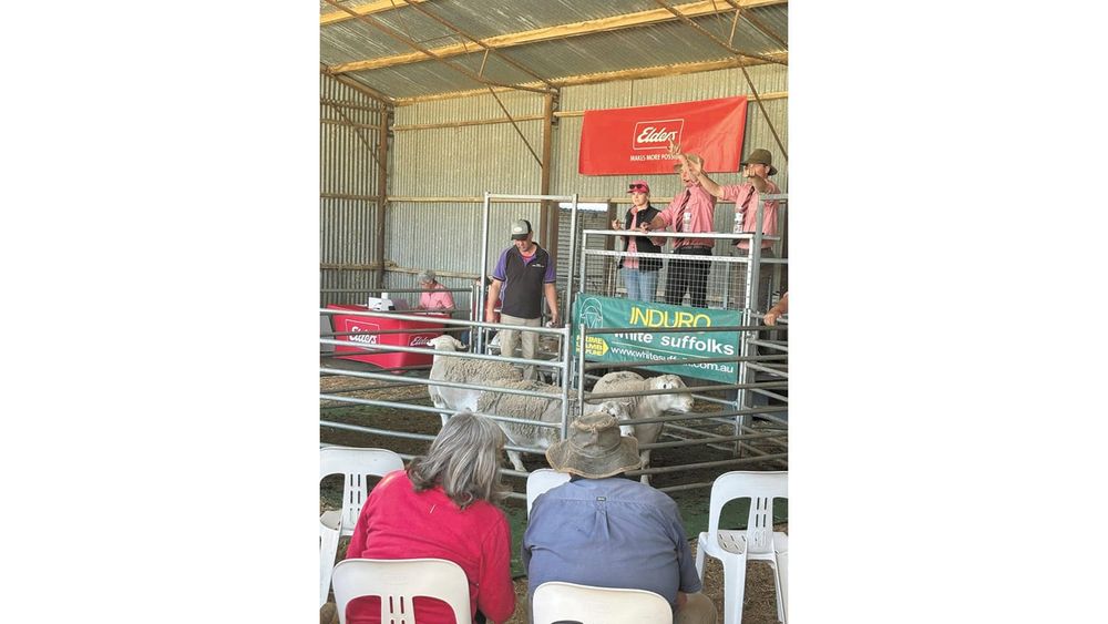 Induro Sale Soars post image