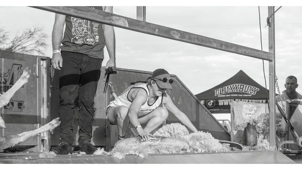 A Pub, a Fig Tree and Some Fancy Shearing post image