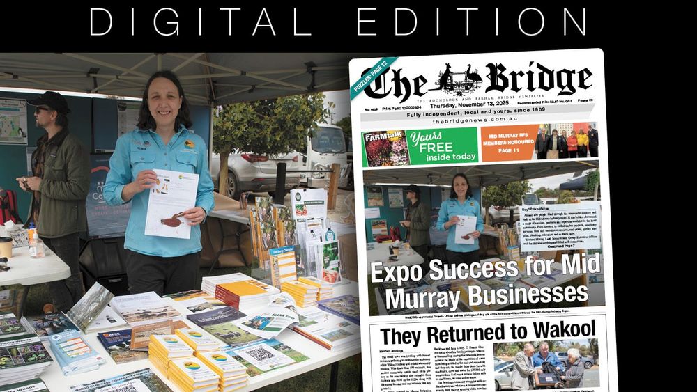 Thursday, November 13, 2025 post image