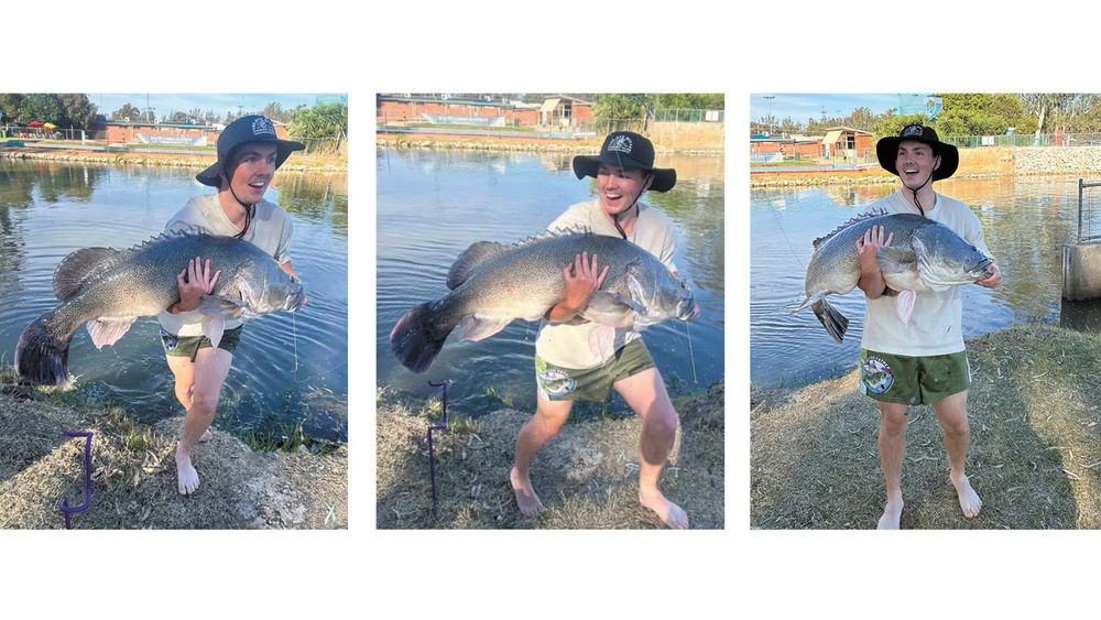 Monster cod catch makes Cohuna fisherman a local hero post image