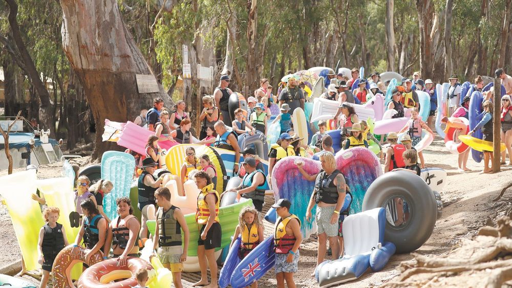 It’s Almost Lilo Time! post image