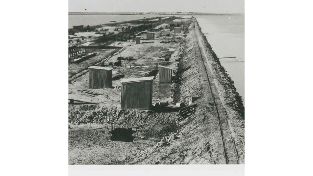 Now Watt? SA Sacred Cow Morphs to Unicorn post image