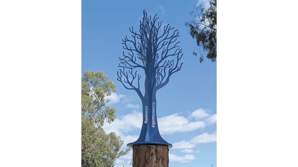 Barham Koondrook Lions Club Blue Tree Project Proceeding Nicely post image