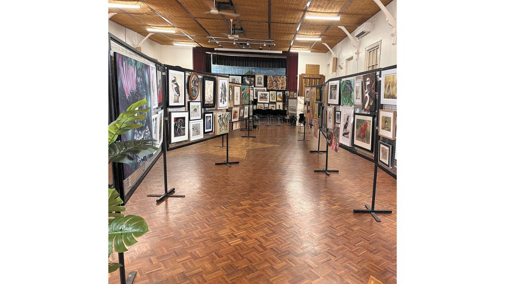 Entries surge as Pyramid Hill art show returns with bigger prizes post image